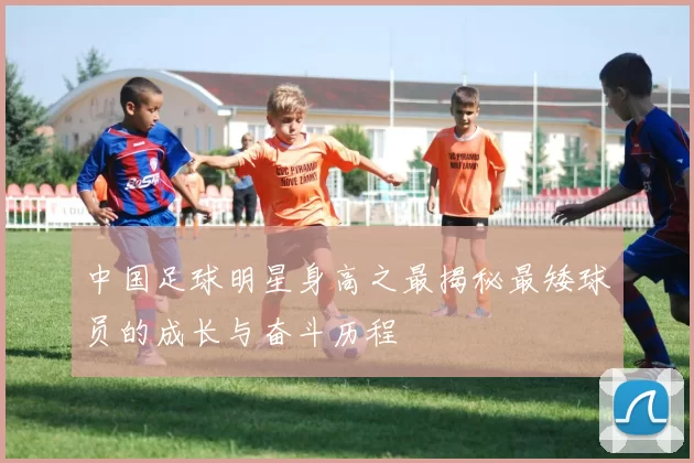 中国足球明星身高之最揭秘最矮球员的成长与奋斗历程