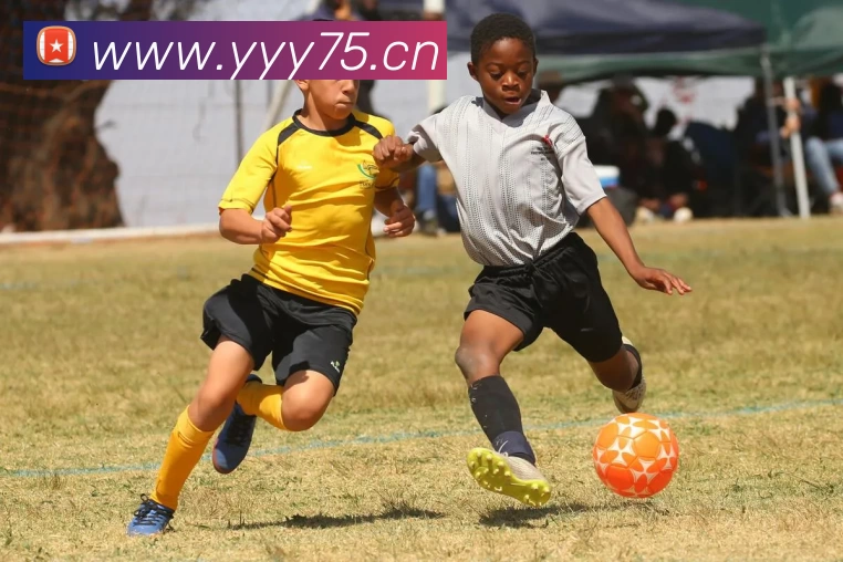 体育赛事